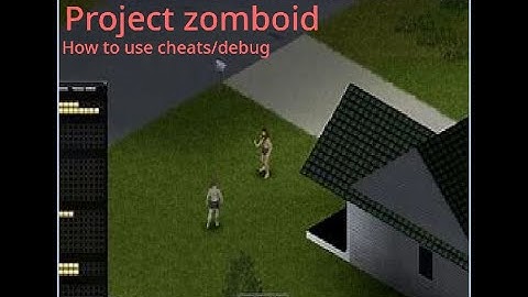 How to use debug mode in project zomboid