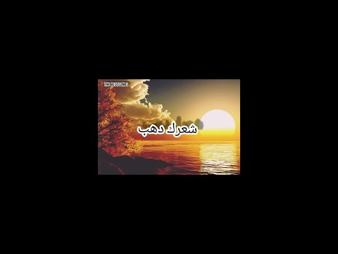 شعرك دهب مغزول مع الكلمات