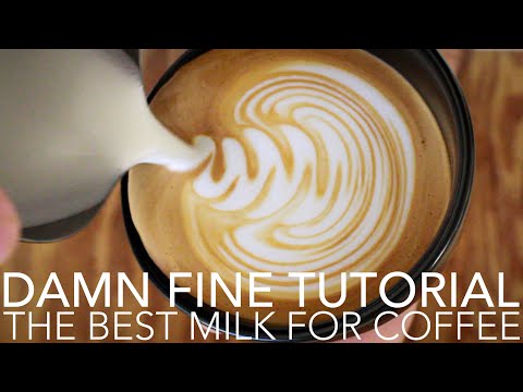 DAMN FINE TUTORIAL - The Best Milk For Coffee