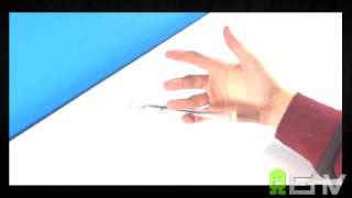Twisted Sonic Reverse 23-34