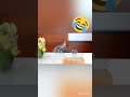 The cat Will Do Anything for Cake!😹#Cute 🐈😻#subcribe#like👍🏻#share🙂