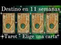 DONDE ESTARAS EN 11 MESES❓ TAROT INTERACTIVO - ELIGE UNA CARTA 🍀🍀🍀