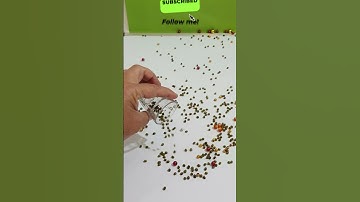 Reverse Art: Reverse Filming Tutorial with Special Orb and Pearl Effects. #reversefilming