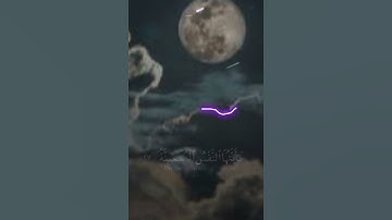 تلاوة هادئة من سورة الفجر (راحة نفسية ) 🥀