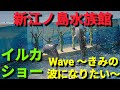 新江ノ島水族館❤️イルカ13時30分Wave ~きみの波になりたい~