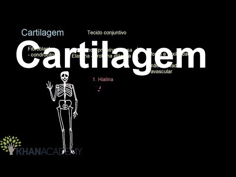 Vídeo: Ossos Cranianos: Função E Anatomia, Diagrama, Condições, Dicas De Saúde