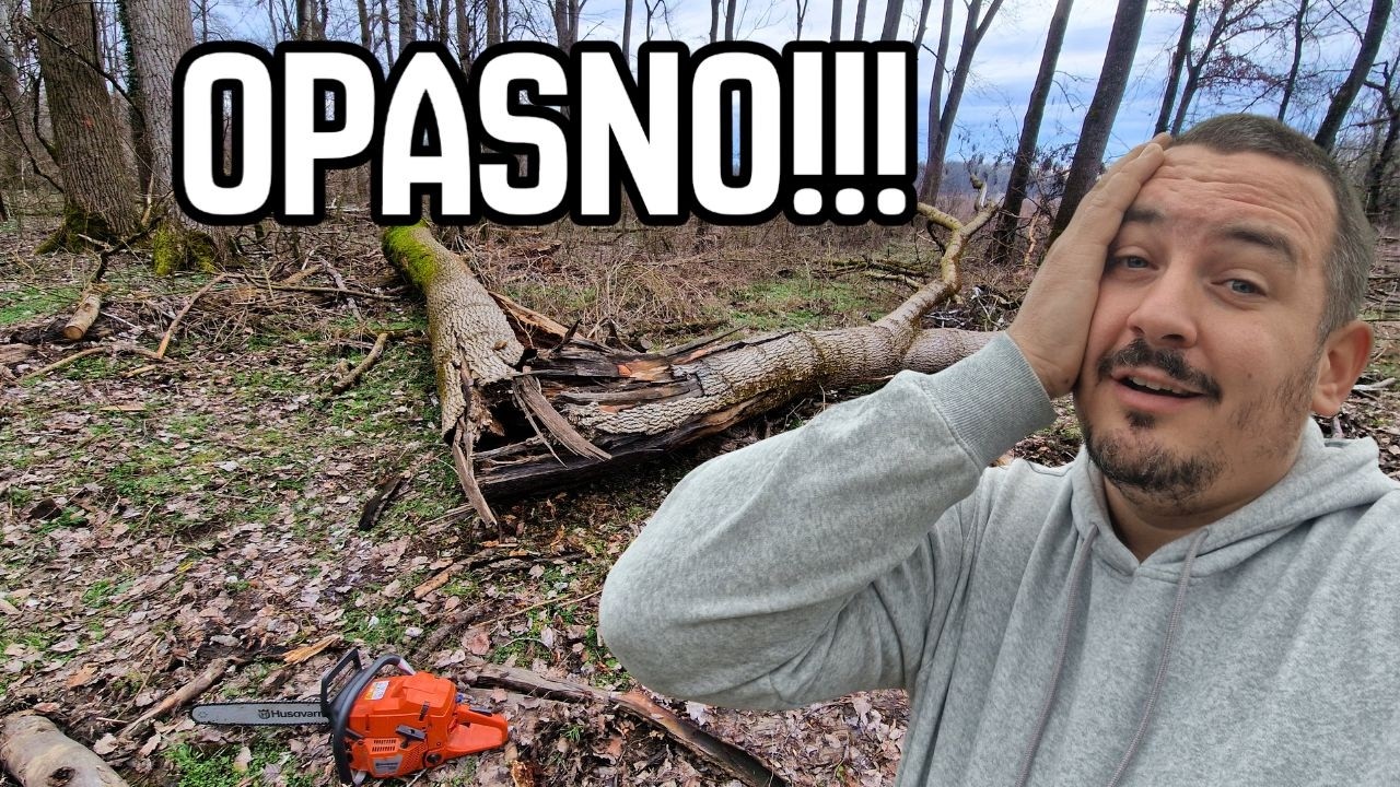 RUŠIM OPASNO DRVO | SAM U ŠUMI