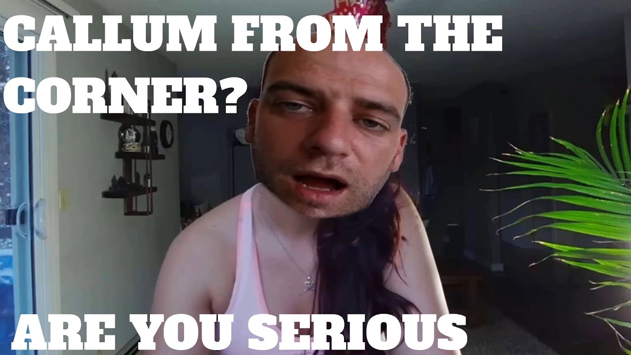 Callums Corner's Millie Brewks Impression (Totally not ai cover)