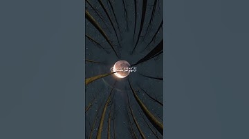 الحمد لله الذي أنزل على عبده الكتاب ولم يجعل له عوجا ﴾ #سورة_الكهف #سعد_الغامدي #quran #تلاوة