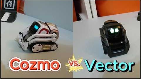 Which one is better, Vector or Cozmo?