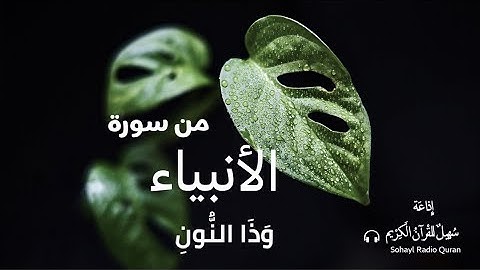 تلاوة تخطف القلوب من سورة الأنبياء   | تلاوة مشتركة