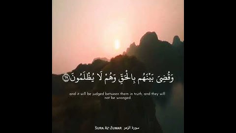 سورة الزمر بصوت القارىء عمر الدريويز 💕