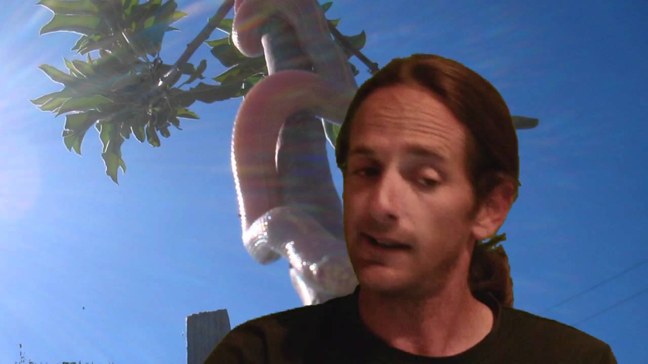 lizard skin grips Reptile News: Reptile moms need love to HOTTIE WARNING!