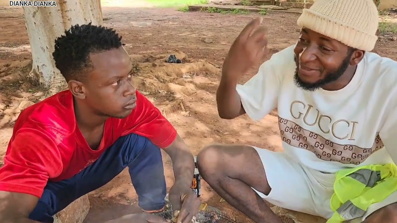 Dianka - Gourmantise de poulet