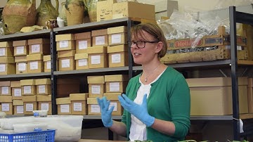 The Must Farm Textiles: Part Two Must Farm