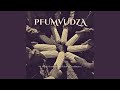 Pfumvudza (feat. Batsirai Chadzingwa)