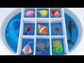 🦈Toy ASMR🦈RC Blue Shark&amp; RC Whake &amp; RC NiNo Fish &amp; Aquarium ASMR Satisfying with Unboxing