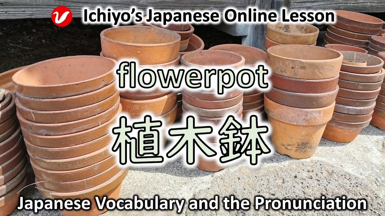 植木鉢 (うえきばち、uekibachi) | flowerpot | Japanese Vocabulary