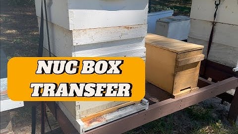 Moving Up! How to Transfer Your Nuc Colony to a Deep Hive