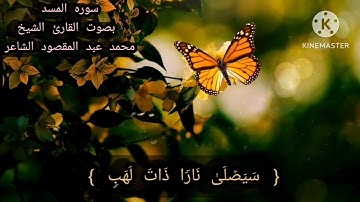 سوره المسد بصوت القارئ الشيخ محمد عبد المقصود الشاعر