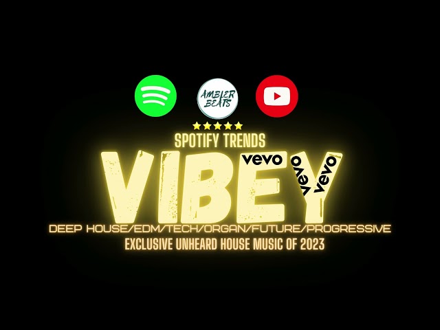 Vibey Deep House Mix (Spotify x Vevo) class=