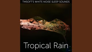 Tropical Rain Sound