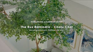 Planterior & Home styling at THE RUX รามอินทรา-จตุโชติ  by Livingstylestudio