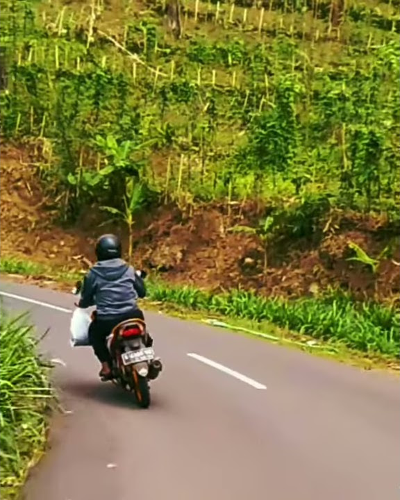 Story wa 30 detik terbaru tahun 2021🌿