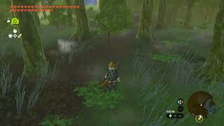 Forest Octorok Hunting 101 Legend Of Zelda Tears Of The Kingdom