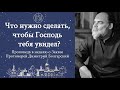 Что нужно сделать, чтобы Господь тебя увидел? Неделя о Закхее