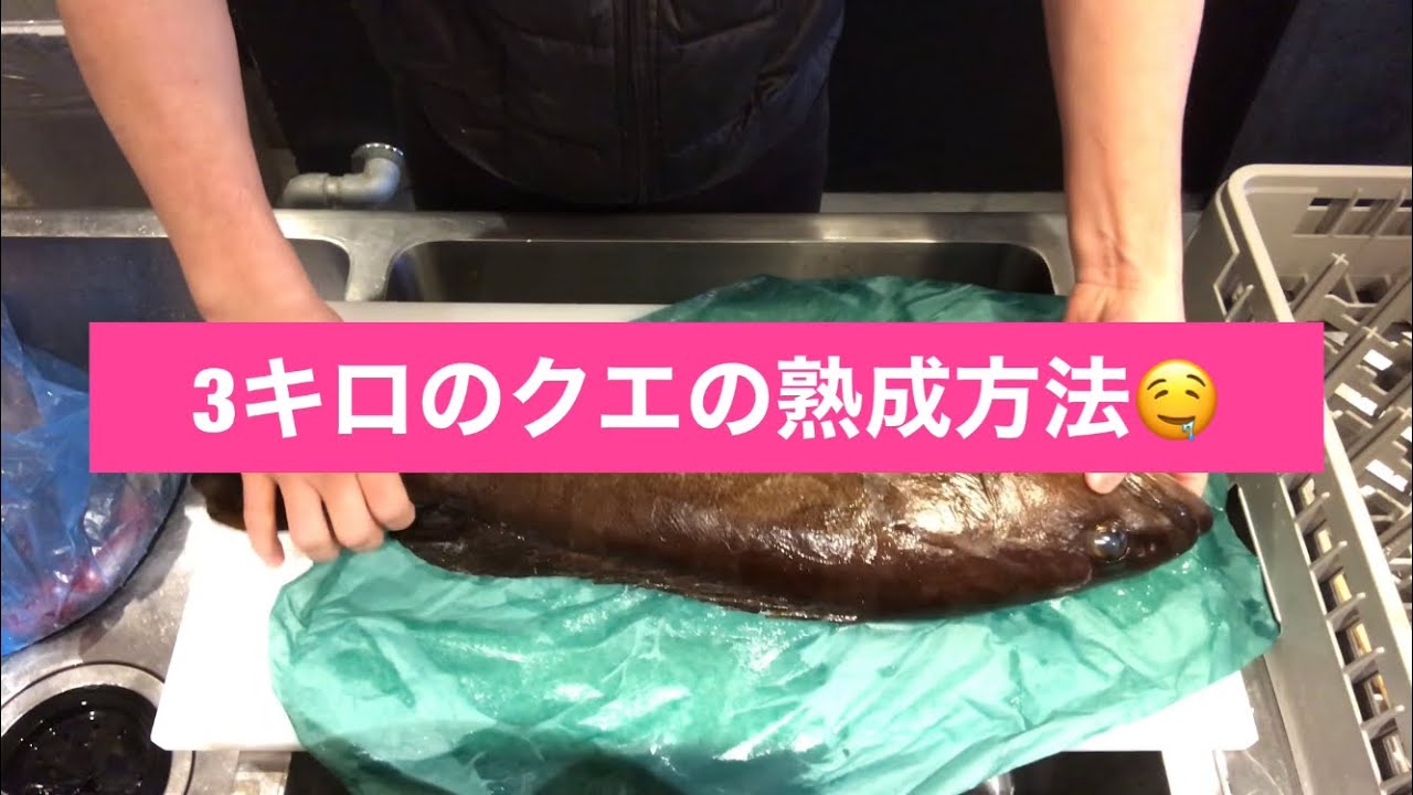 クエを熟成させる方法 Youtube