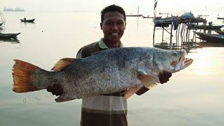 Возможное место для рыбалки Баррамунди / Прыжки с рыбой Баррамунди - Перетаскивание Баррамунди