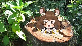 まるみ-VTuber-の配信のサムネイル画像