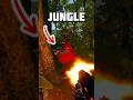 Fique alerta na Jungle! #rust