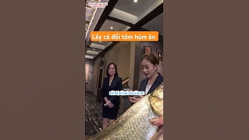 2 em cần thủ xinh đẹp mang cá đi đổi tôm hùng ở nhà hàng 5 sao và cái kết  #fishing #cauca #xuhuong