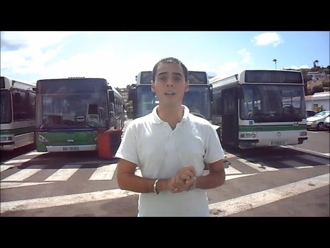 [Fort-de-France] Bus Mozaïk (Martinique)