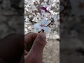 hunza bosom time # #mountains #1million #1millionviews #1000subscriber