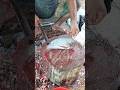 marketing fish cutting talafiamas 2 kilo subscribe Thakur Jeevan 👆👆👆👈👈👈