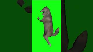 Noob SPEED | Dancing Wolf 2x 5x 10x 50x 100x #dancingwolf #wolfmeme