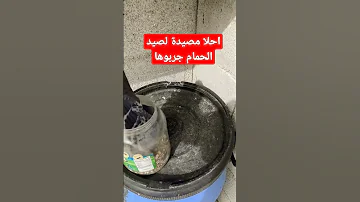 احلا مصيدة لصيد الحمام اعطونه رايكم 