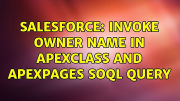 Salesforce: Invoke Owner Name in Apexclass and ApexPages SOQL query