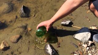 DD H2O Commercial