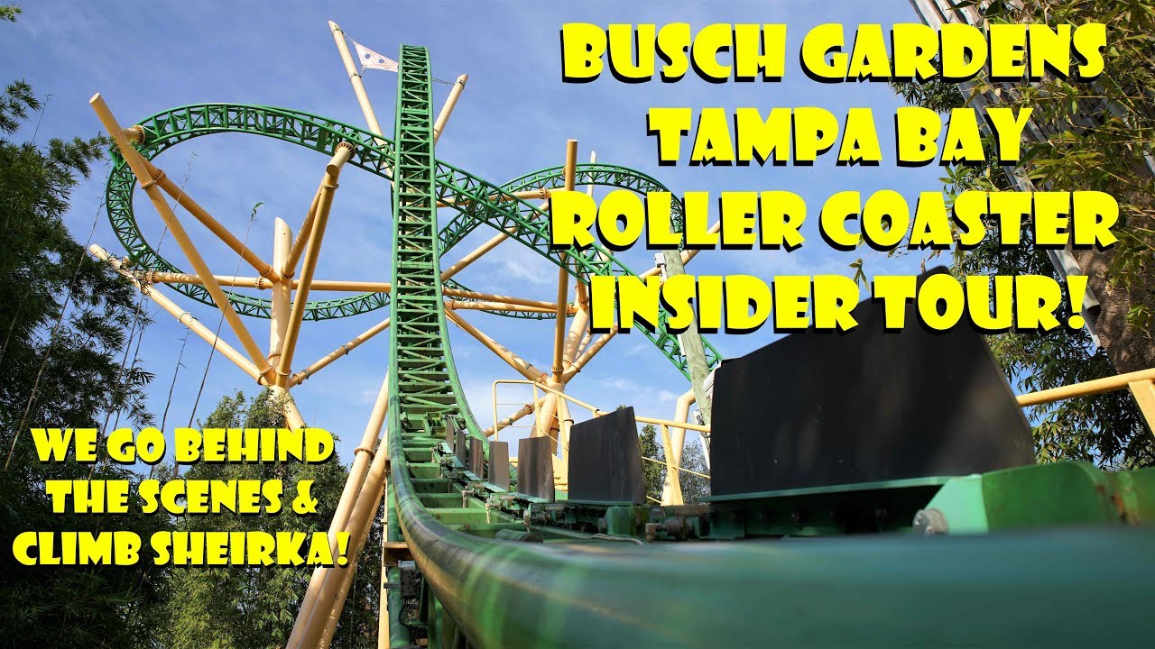 Busch Gardens Coaster Insider Tour Behind the Scenes Of BG'S Most