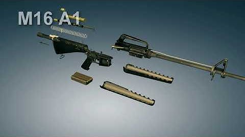 M16 A1 Assault rifle Disassembly | 3dGun