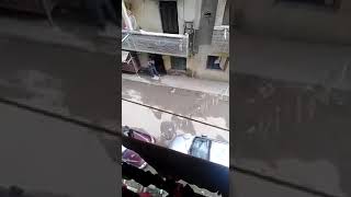 بلطجي مصر القديمه  بيشتم ف الحكومه  ومش شايف راجل ف المنطقه