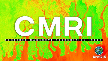 Gecombineerde Mangrove Herkenningsindex Detecteer Mangrovebossen op basis van satellietbeelden