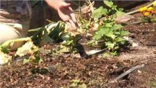 Just because your garden is already established doesn't mean you can't
upgrade the soil. soil in an with help from owner and o...