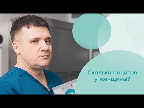 Сколько ооцитов у женщины? Общее количество яйцеклеток у женщин #яйцеклетка