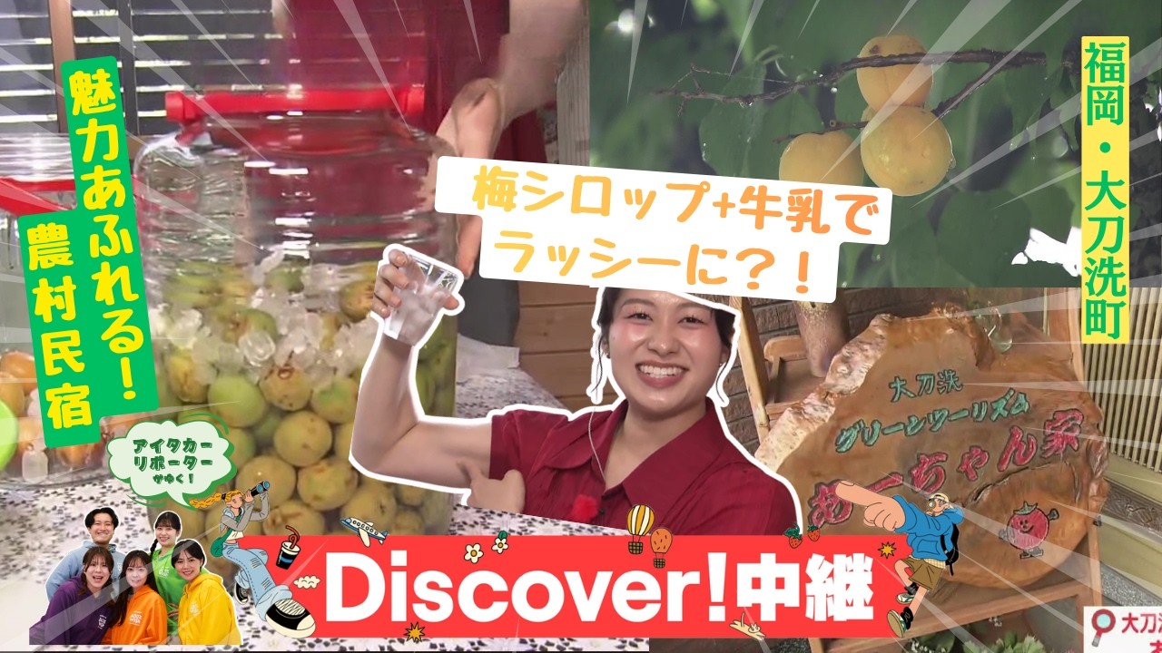 農村民泊で魅力あふれる体験しよう！『あーちゃん家』でもぎたて梅