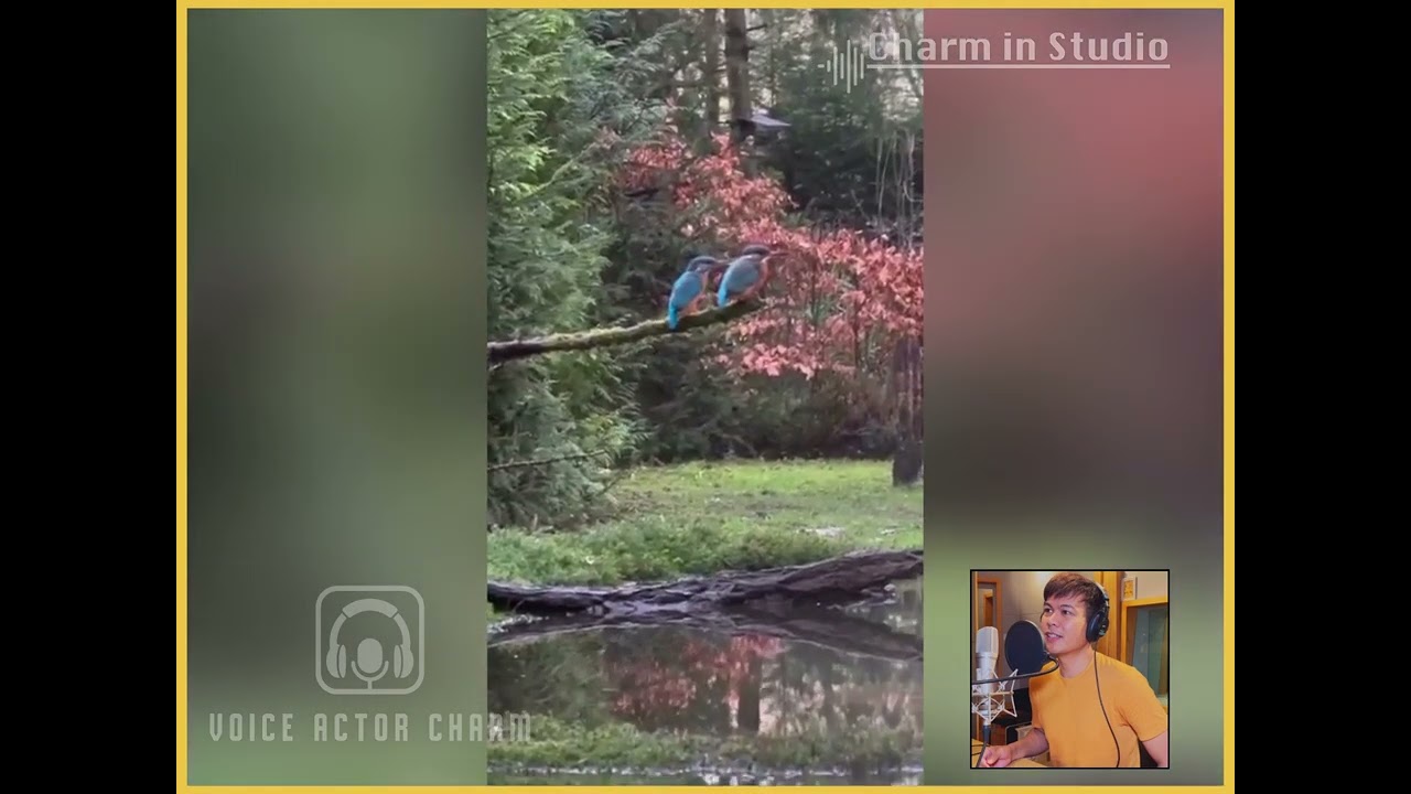 တချို့သောကြက်လေးကောင်( Voiceover by Charm)